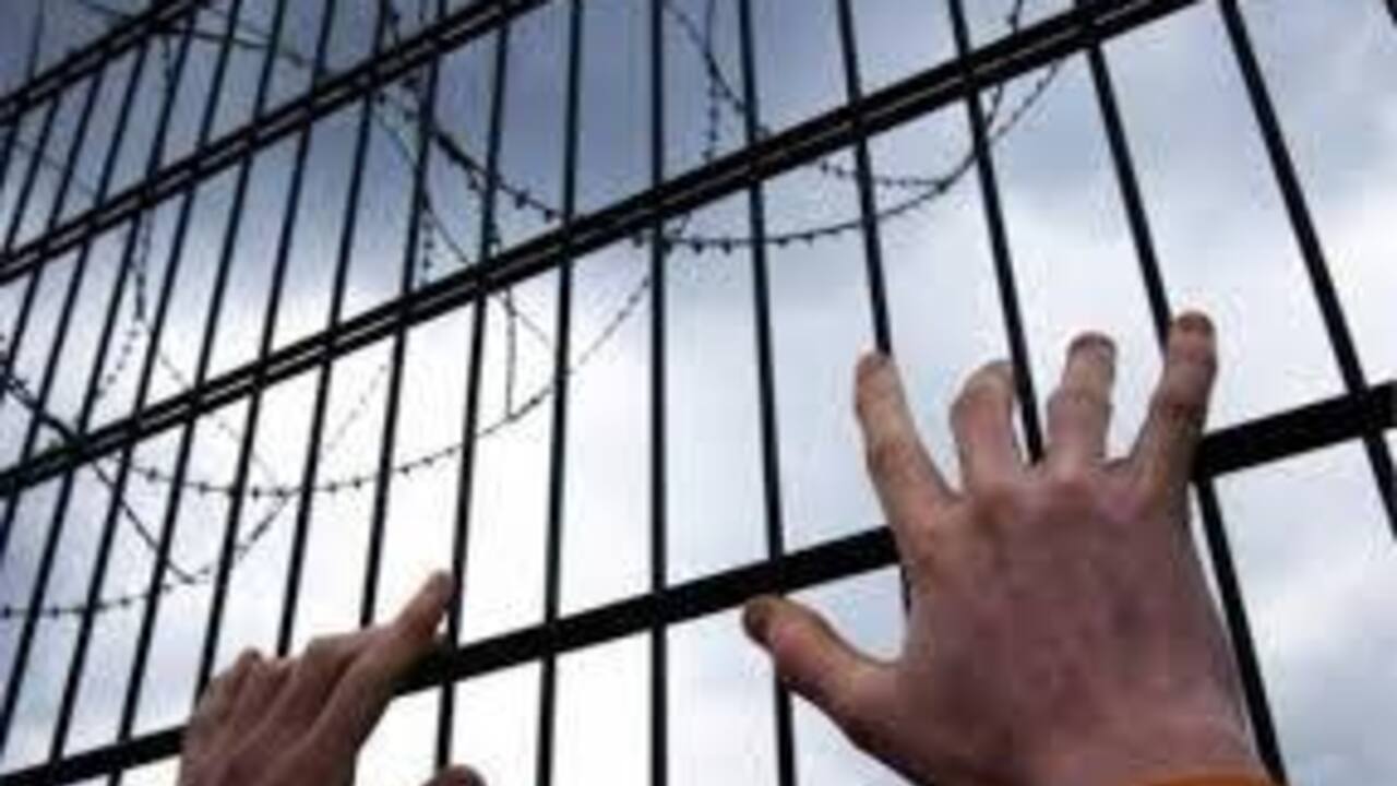 "Спешил увидеть больную мать": в Запорожье судят беглеца из колонии
