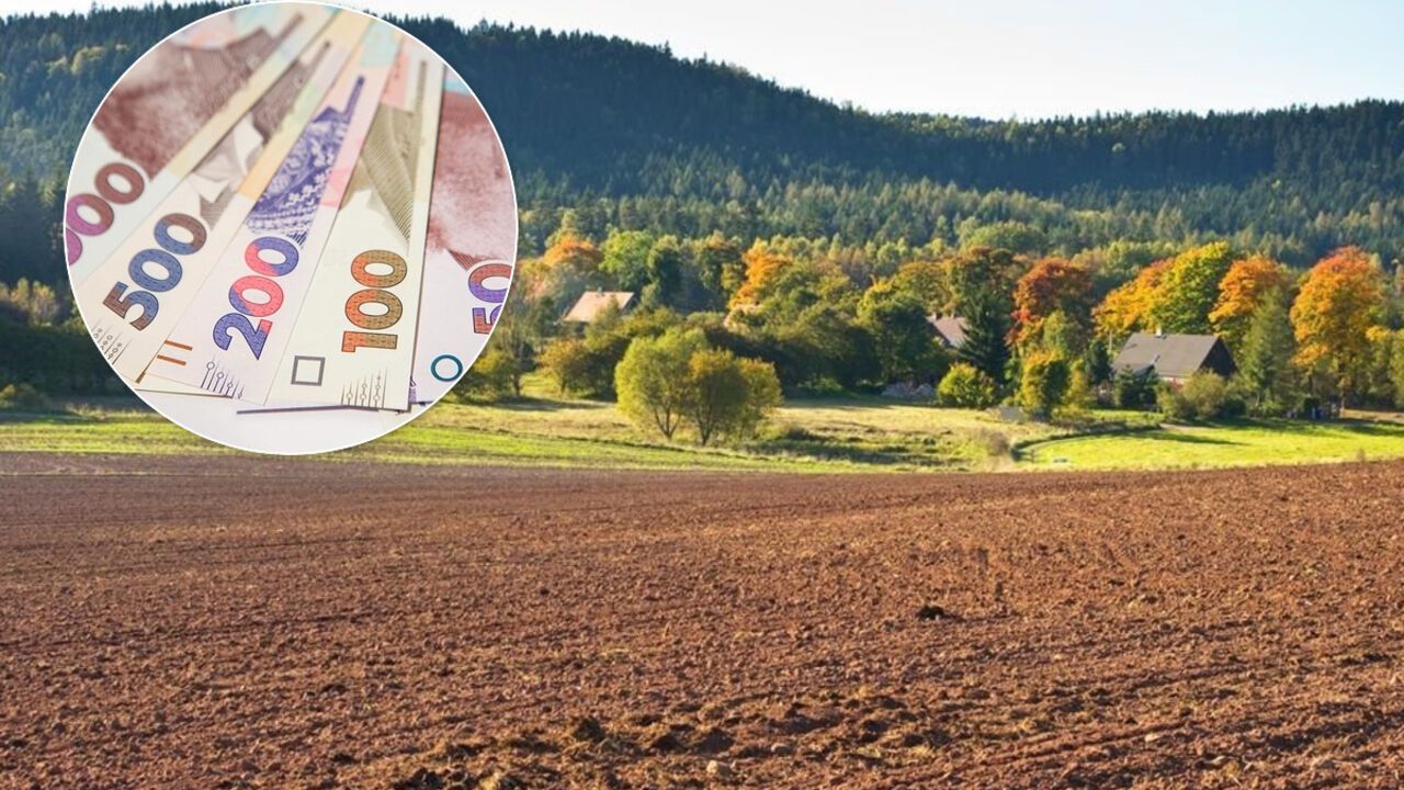 В Украине с 2001 года "украли" более 5 млн га с/х земель