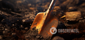 How to save rusty shovels and tools: miraculous ways
