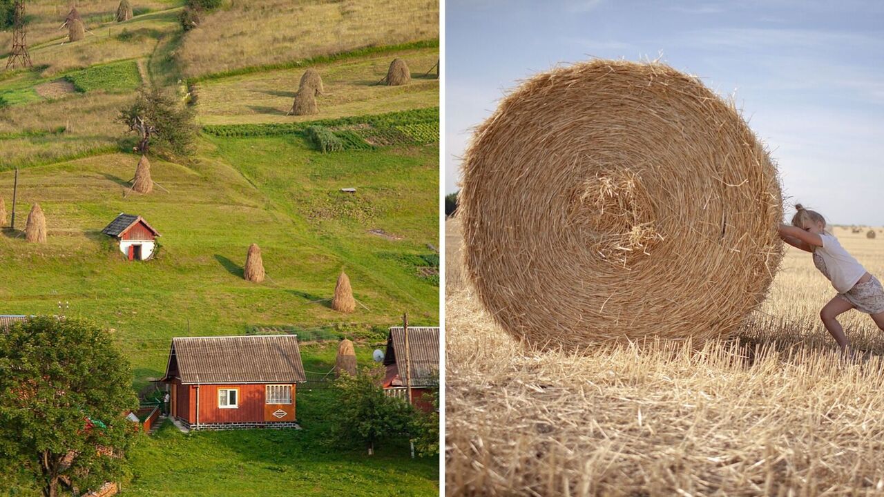 TOP-5 best destinations in Ukraine for family travel