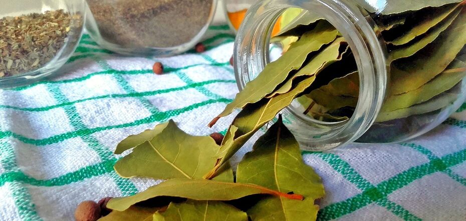 Чарівні властивості лаврового листа