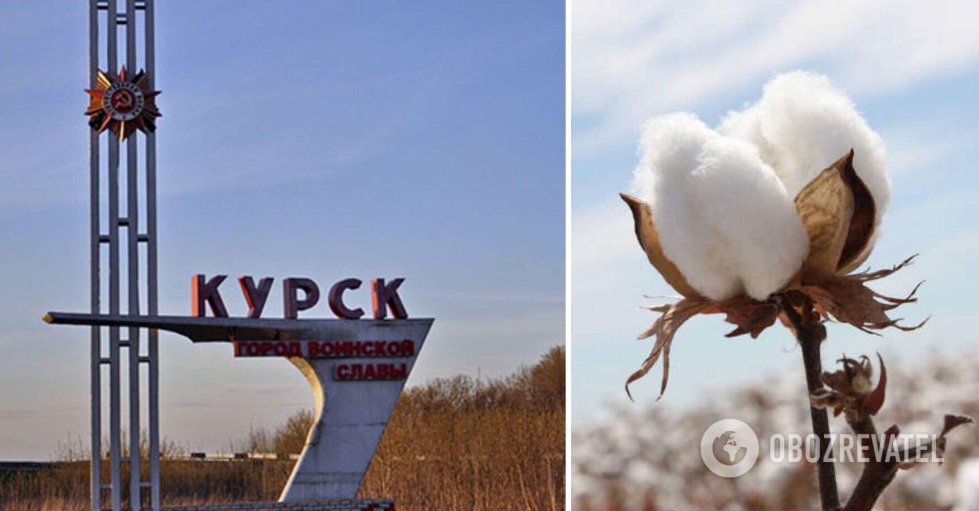 There was "bavovna" in the Kursk region