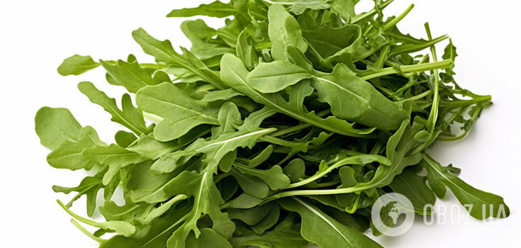 To have fresh herbs all year round: how to grow arugula on the windowsill