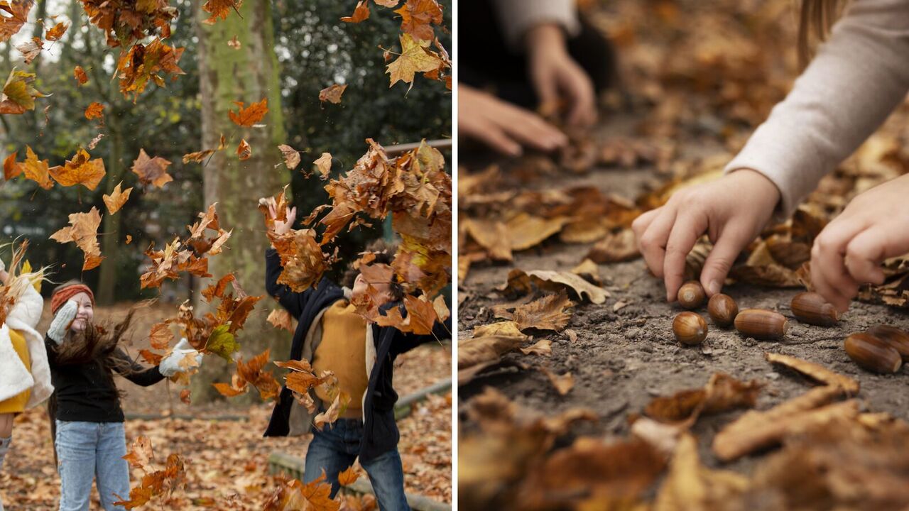 For both children and adults: top places for family vacations in Ukraine