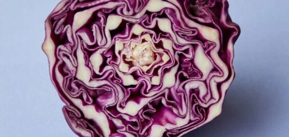 What to cook with purple cabbage
