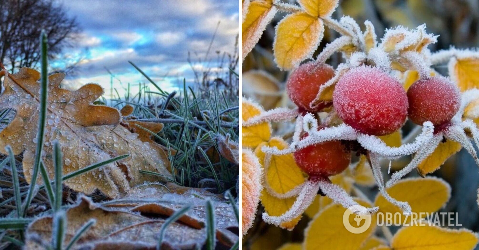 Cold weather will rush into Ukraine, but there is a nuance: forecasters gave a forecast for early November