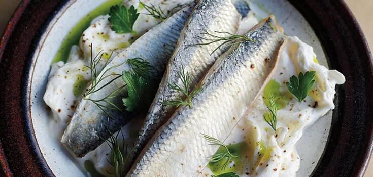 Polish-style herring for sandwiches: marinated in sour cream