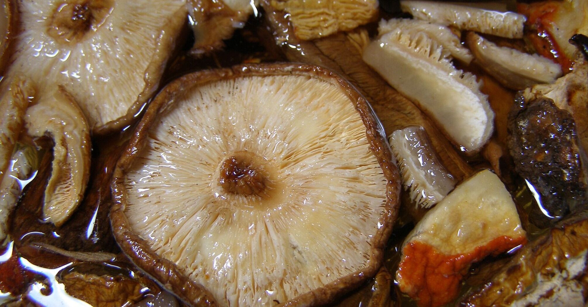 Pickled mushrooms