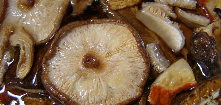 Pickled mushrooms