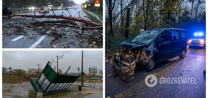 Fallen trees and knocked down fences: storm wind rages in Kyiv, residents warned of danger. Photo and video