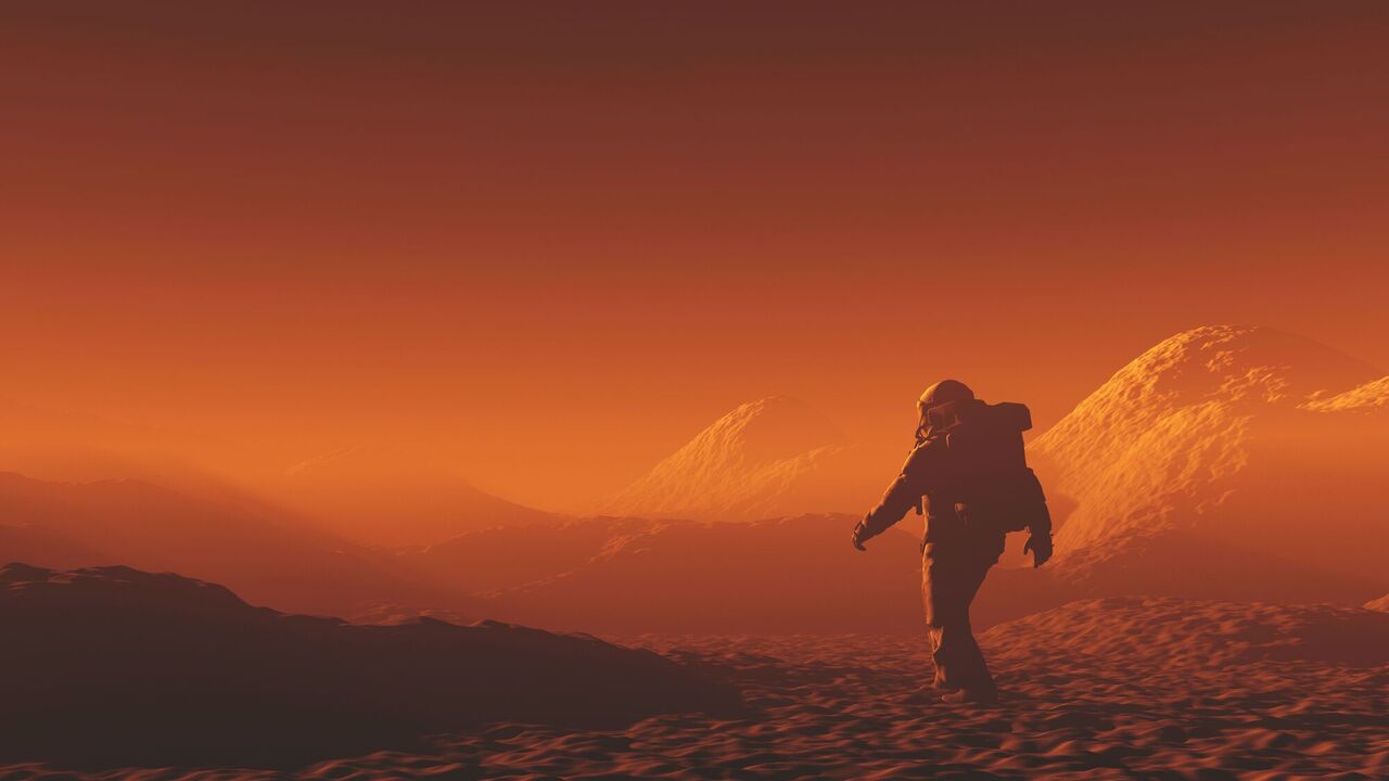 Scientists find that mammals can withstand Martian environment: what is known