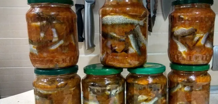 Recipe for sprats in tomato