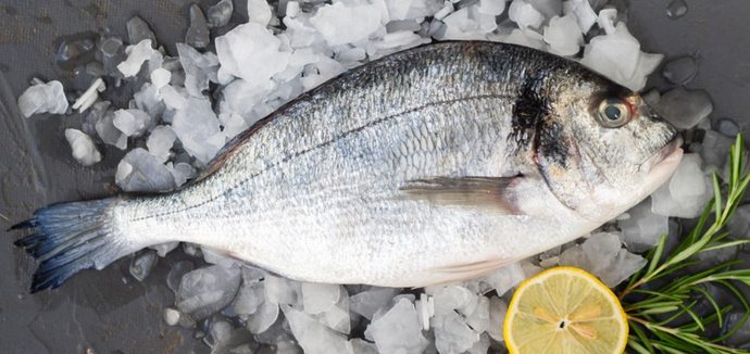 Jak prawidłowo zamrażać ryby: będą bezpieczne do spożycia i smaczne