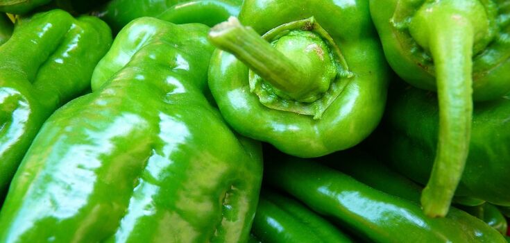 Hot peppers