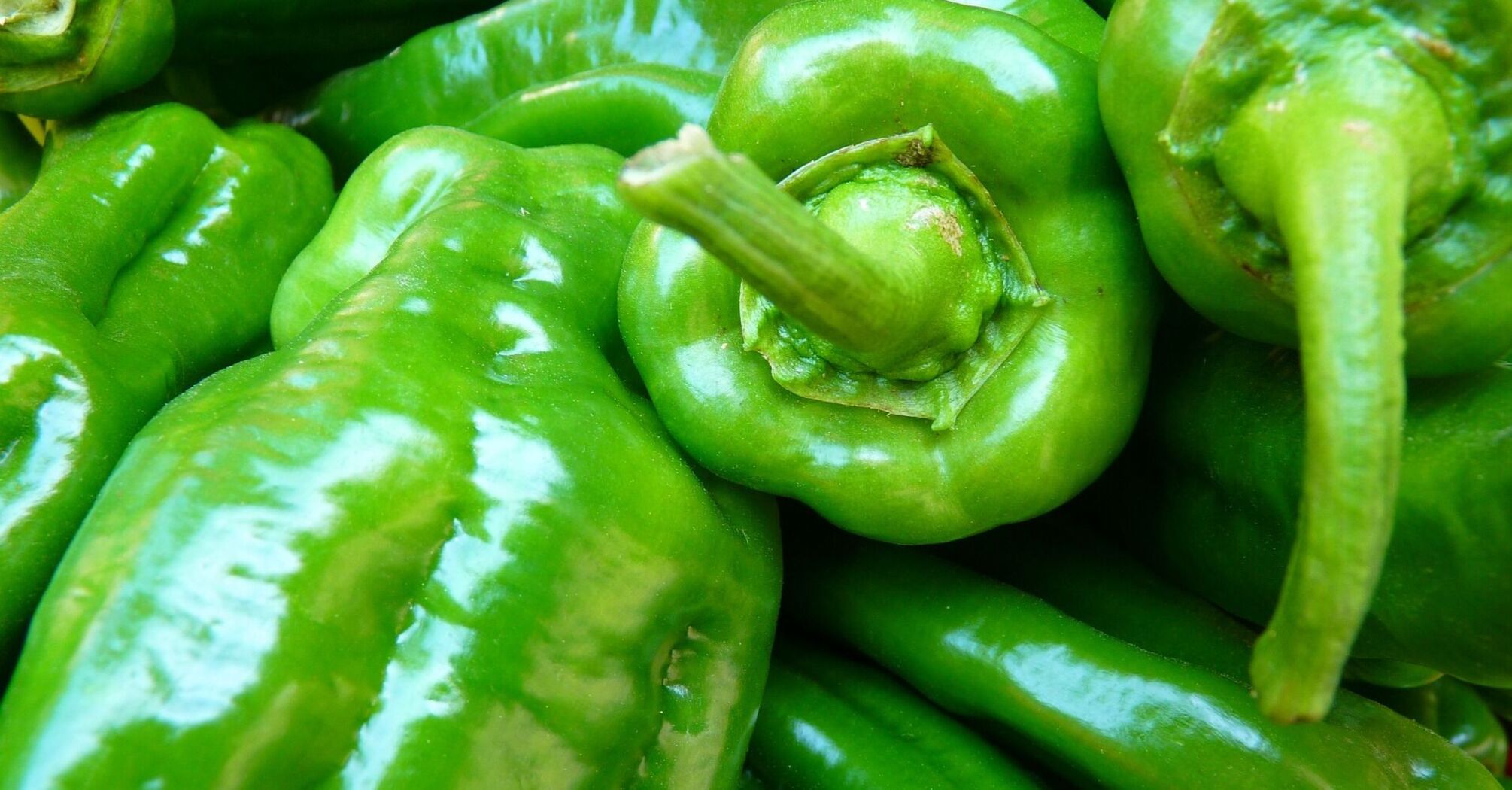 Hot peppers