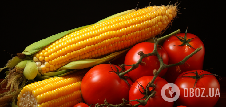 The crop is doomed: why tomatoes and corn can't be grown next to each other
