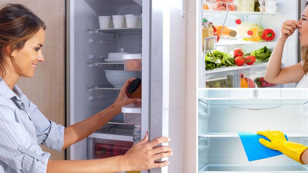 How to quickly wash the refrigerator inside: toothpaste and cider will help