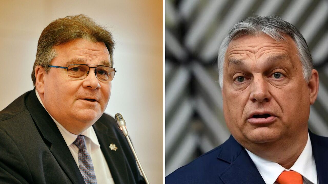 Former Lithuanian foreign minister says it is Hungary who is light-years away from EU, not Ukraine