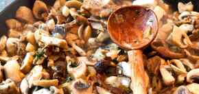 Jak czyścić i gotować dzikimi grzyby: jest kilka niuansów