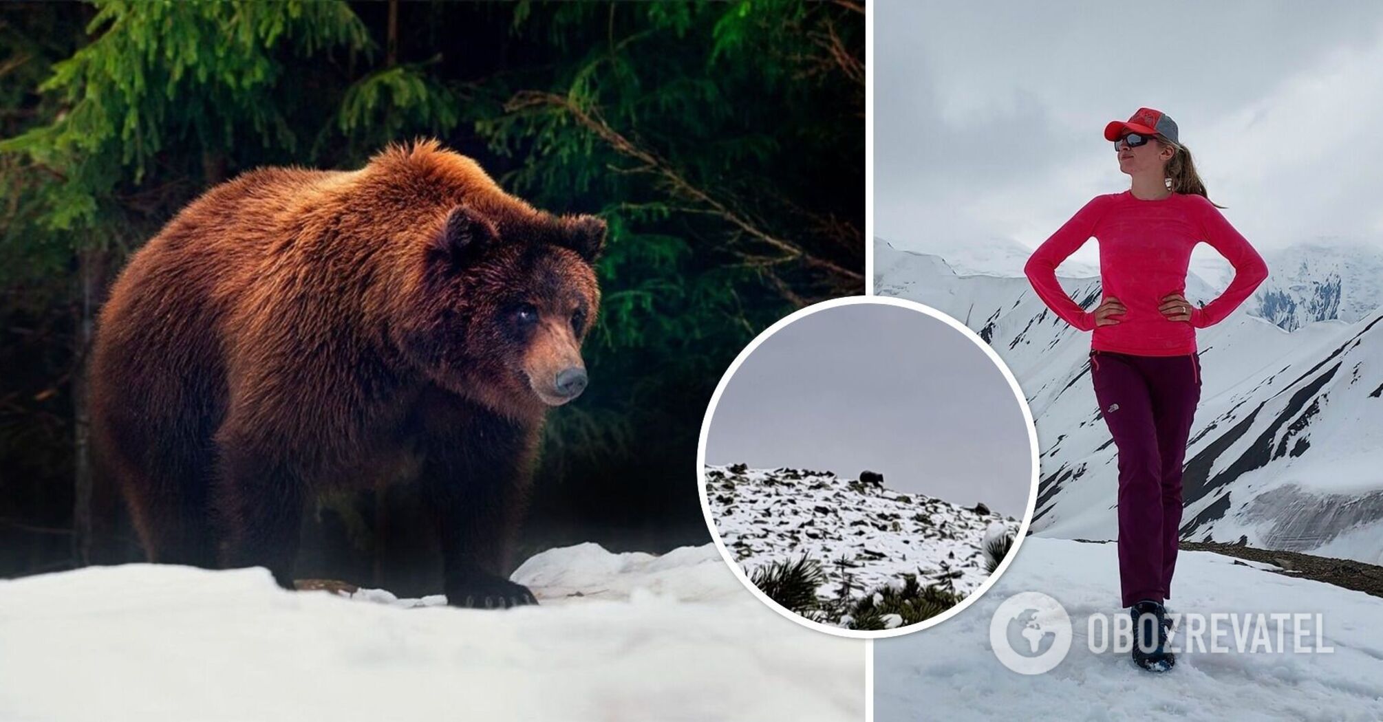 This lone tourist came across a huge bear in the Carpathian mountains. Video of the encounter