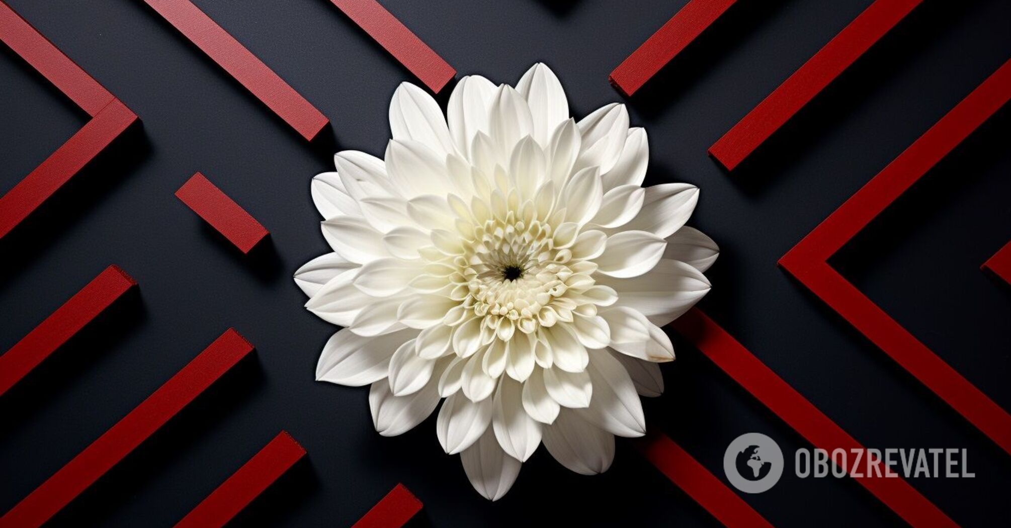 A simple IQ test: an optical illusion that will make you think