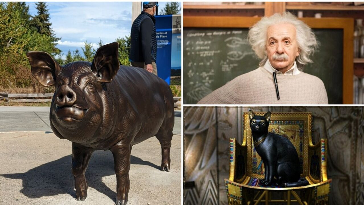 Britain and the United States went to war over the killing of a pig, and Caligula made a horse a senator: top 10 impressive historical facts