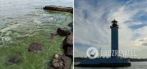 Już nie czarne: morze w Odessie 'zakwitło' z powodu toksycznych bakterii, eksperci wyjaśnili przyczynę. Zdjęcie