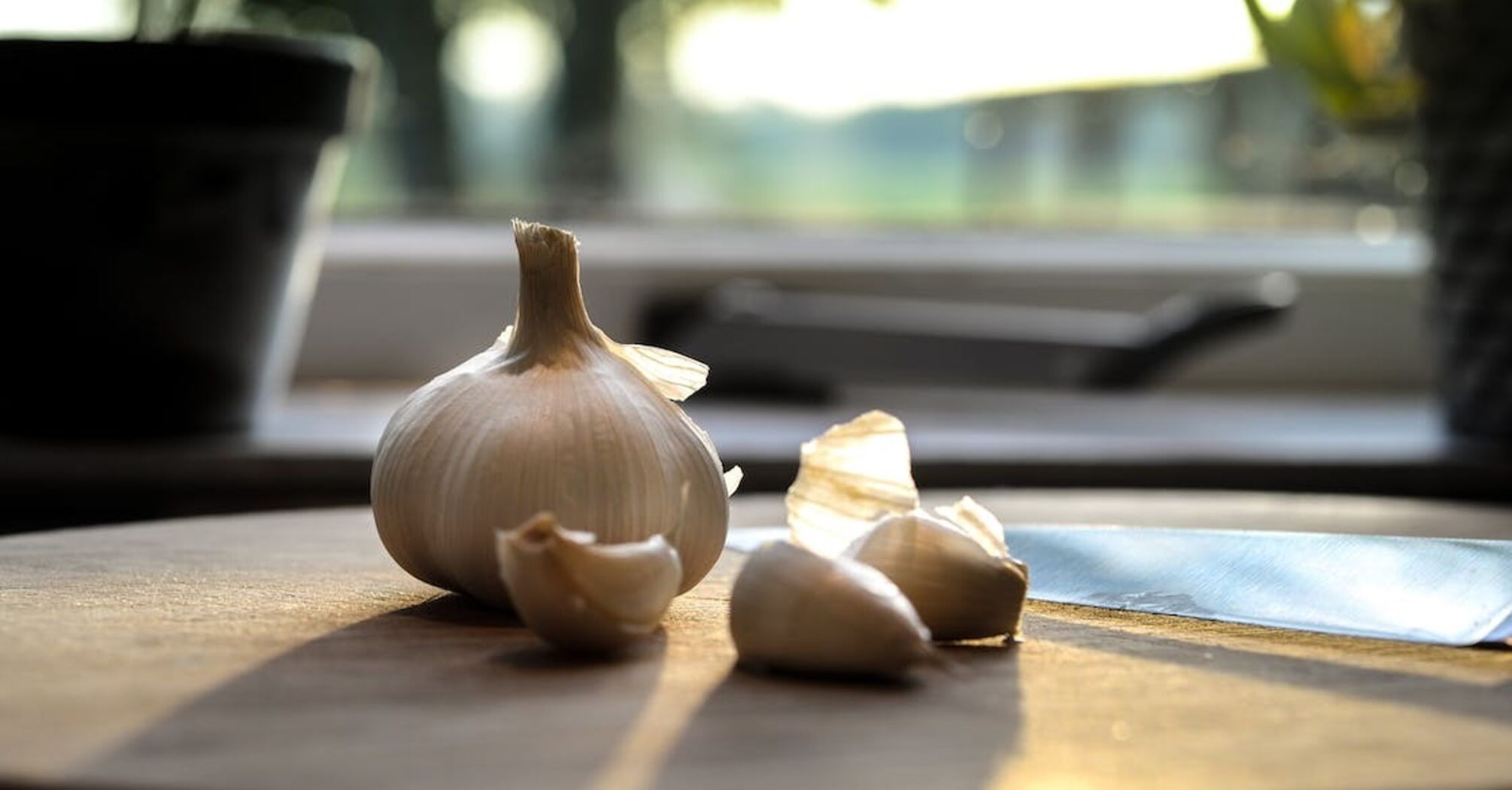 Not in the refrigerator: how to properly store garlic so that it does not dry out