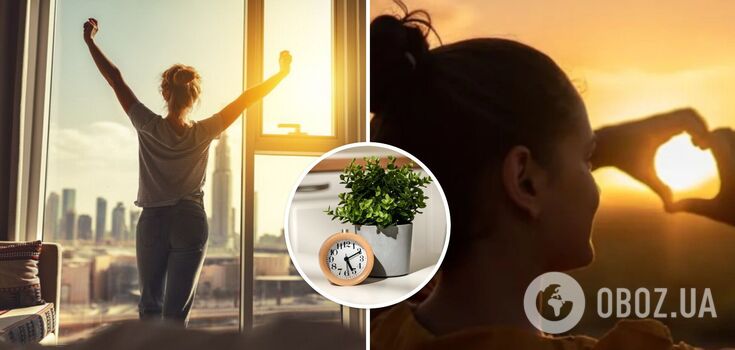 What will happen to your body if you get up early in the morning: scientists reveal the striking effect