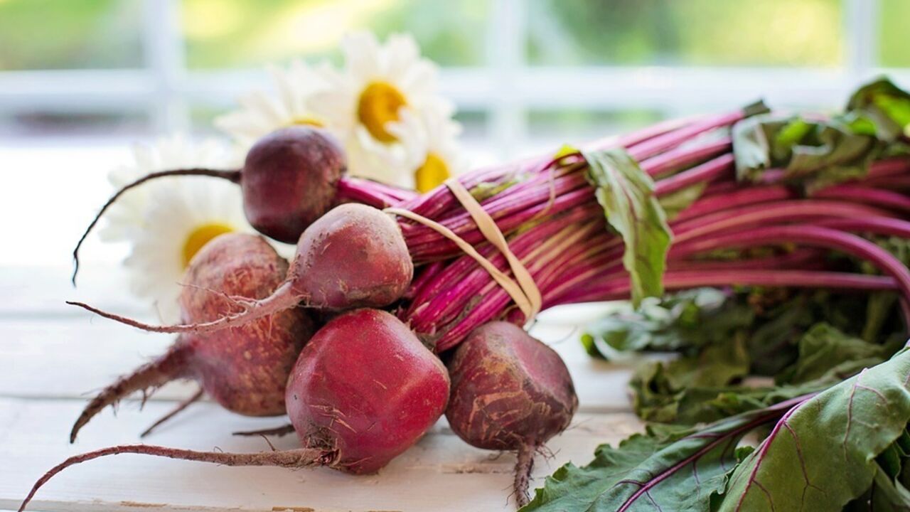 Why beets are useful and what salad to make with them: expert advice