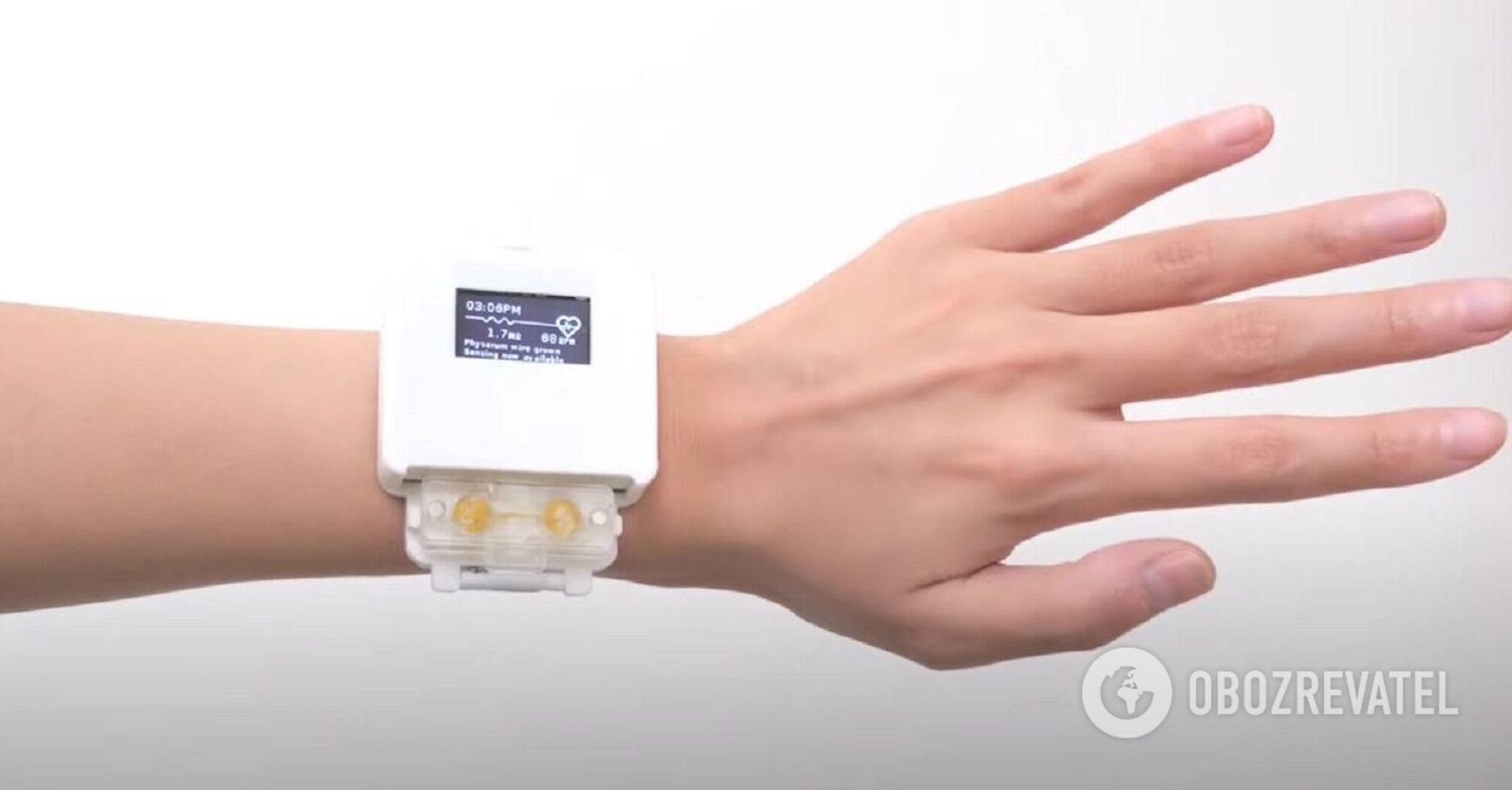 Tamagotchi 2.0: naukowcy stworzyli żywy zegar, który musi być karmiony prawdziwym jedzeniem