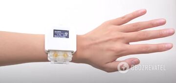 Tamagotchi 2.0: scientists have created a living clock that needs to be fed with real food