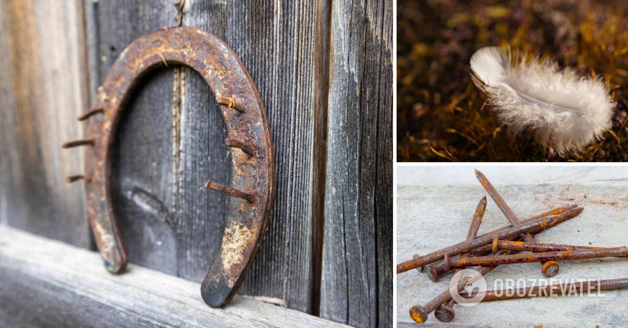 Harbingers of happiness: what street finds are a good omen
