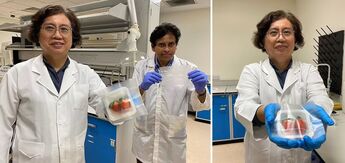 Scientists have created a "smart packaging" that keeps fish, meat and vegetables fresh for longer