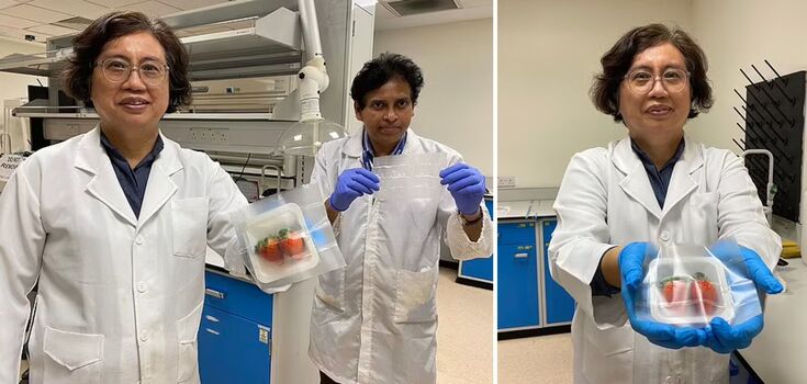 Scientists have created a "smart packaging" that keeps fish, meat and vegetables fresh for longer