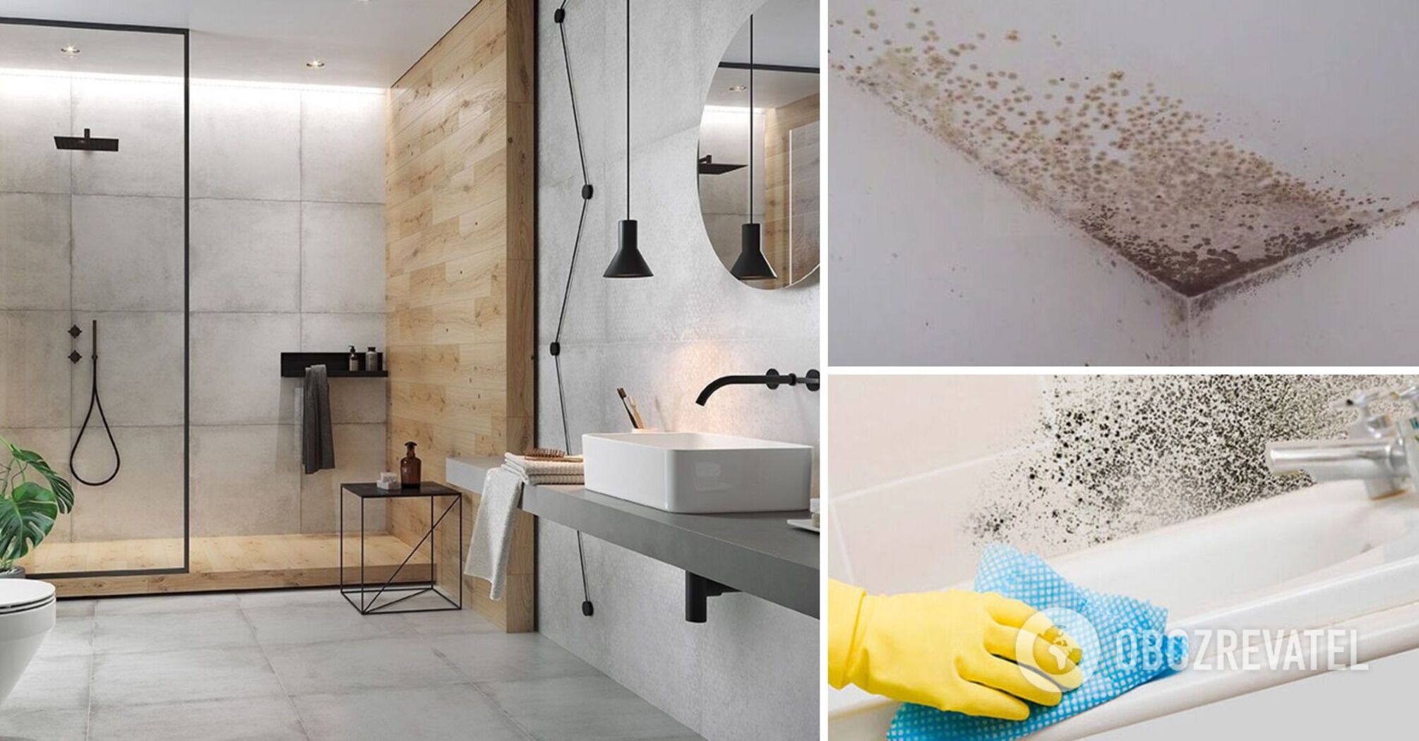 How to get rid of mold in the bathroom: natural remedies