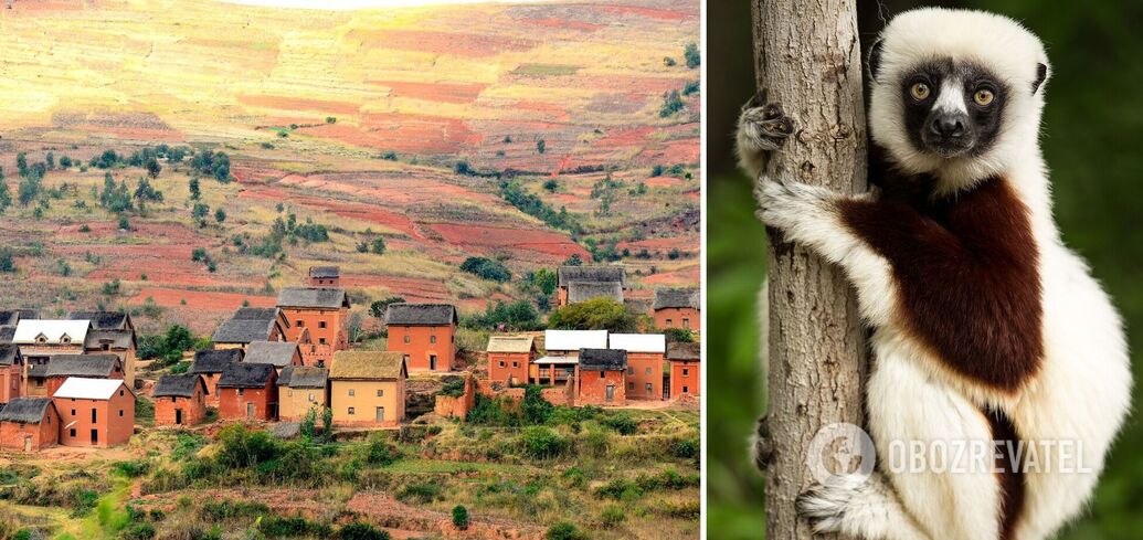 Niesamowity Madagaskar: 14 faktów o egzotycznym kraju z filmu animowanego