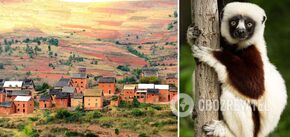 Niesamowity Madagaskar: 14 faktów o egzotycznym kraju z filmu animowanego