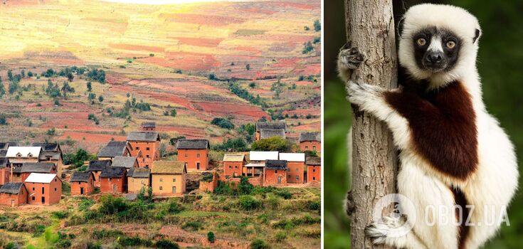 Amazing Madagascar: 14 facts about the exotic country from the cartoon