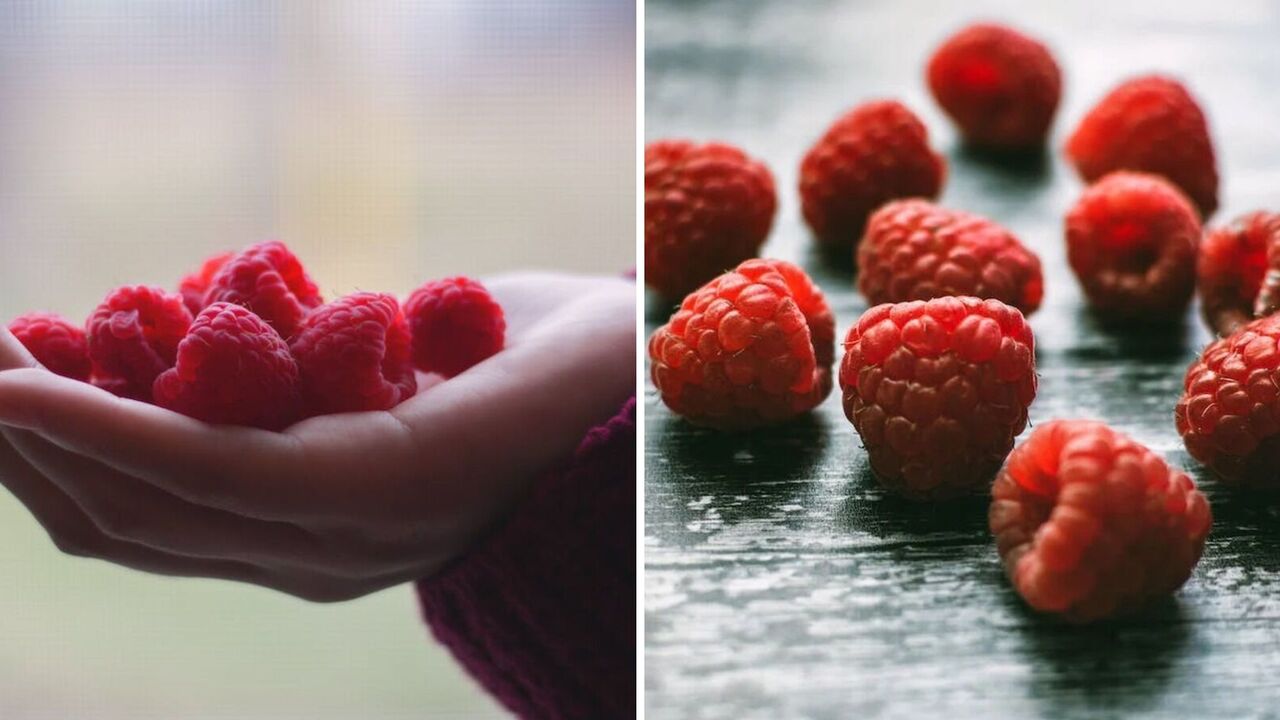 Berries will be twice as big: what to do with raspberries in November