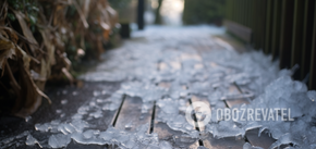 How to easily get rid of ice on garden paths and what to do with snow: winter tips