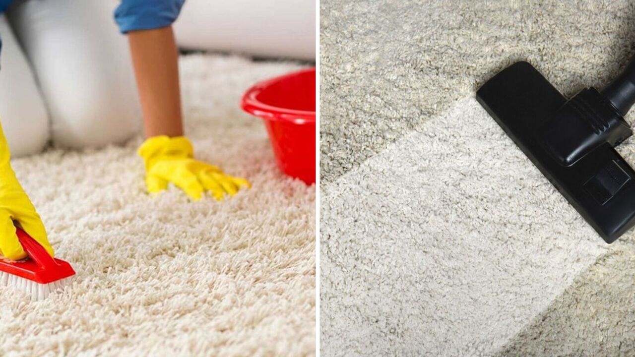 How to revitalize an old carpet: the pile will rise and look like it just came from the store