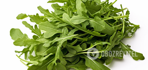 How to grow arugula for salads at home: simple method