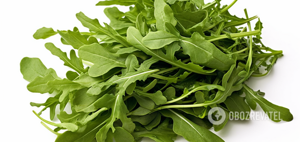 How to grow arugula for salads at home: simple method