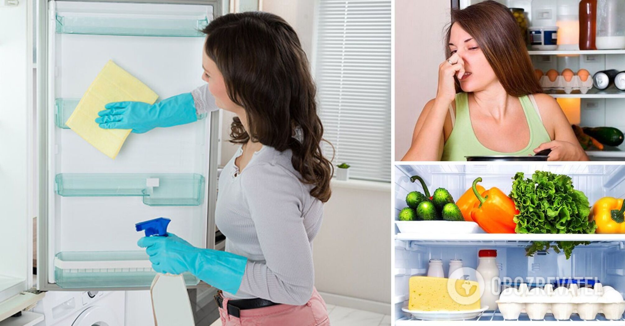 How to get rid of an unpleasant smell in the refrigerator: simple and effective methods