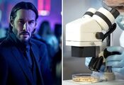 Scientists named a deadly bacteria after Keanu Reeves: the actor reacted with humor