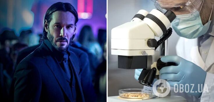 Scientists named a deadly bacteria after Keanu Reeves: the actor reacted with humor