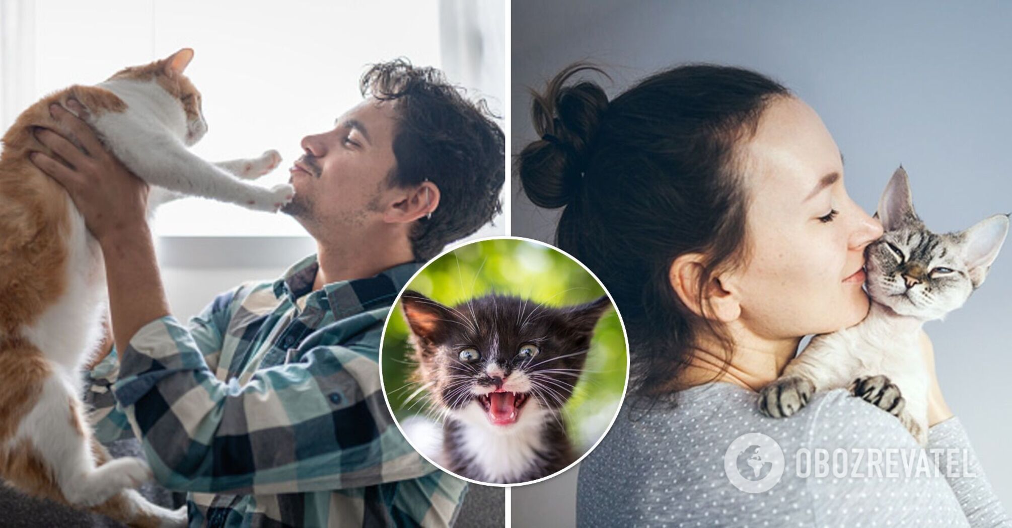Why we love cats and cats love us: the scientists' answer