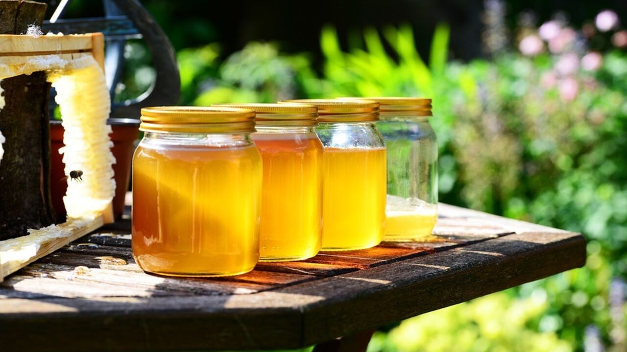 How to check honey for naturalness: the three easiest ways