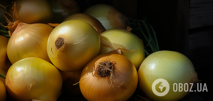 How to store onions to prevent maggots: practical tips